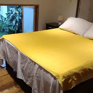 Parrot House San Antonio Apartamento